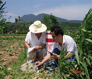 解決方案